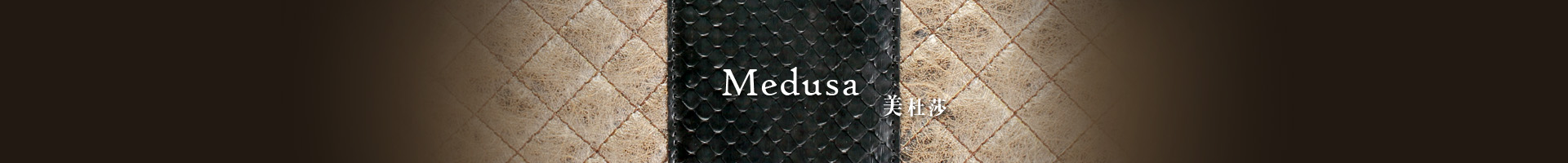 Medusa 美杜莎